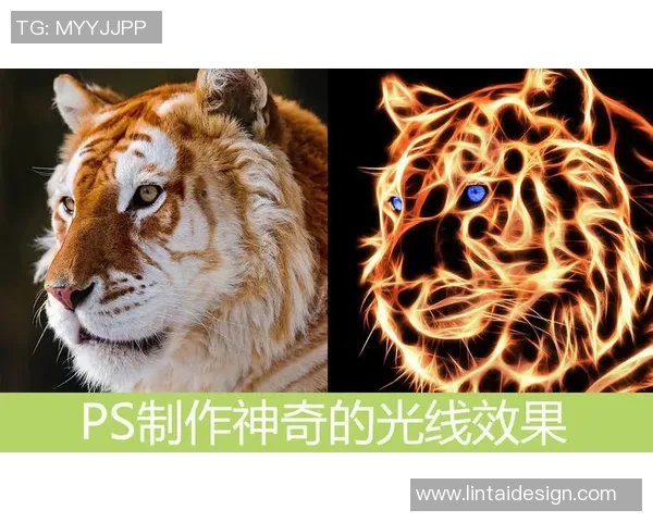 从普通少年到足球明星的神奇蜕变之旅与特效揭秘