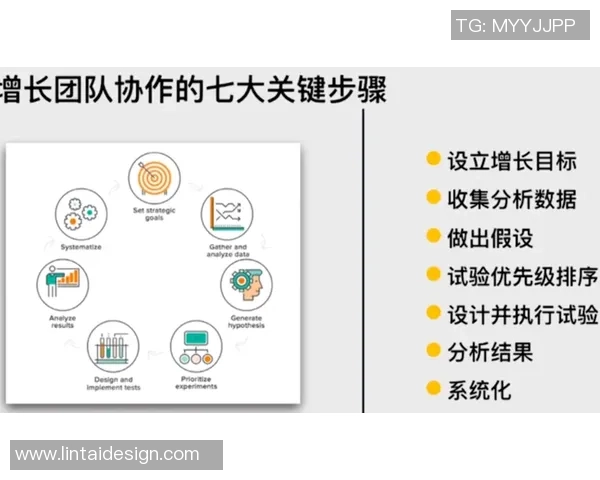 南京排球队的团队协作之道与成功秘诀探讨