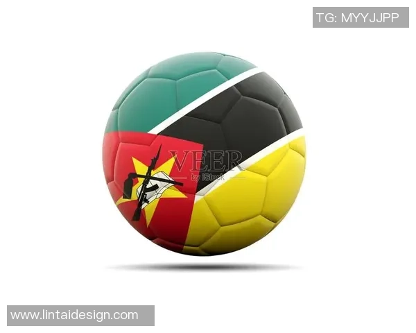 莫桑比克足球明星的辉煌历程与成就盘点